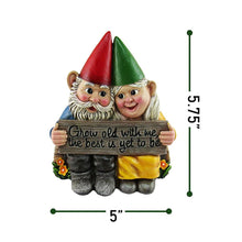 Load image into Gallery viewer, Sweet Couple Garden Gnome